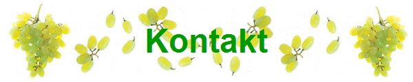 Kontakt